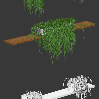 Potted plants on the shelves v2 — Ver 3