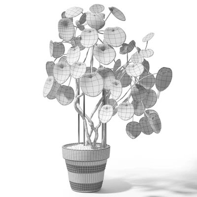 Set of plants 12 — Ver 2