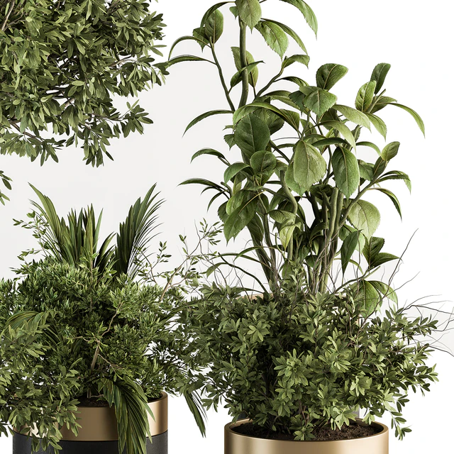 indoor Plant Set 373- Tree and Plant Set in pot — Descargar