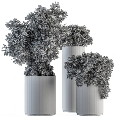 indoor Plant Set 120 - Green and White Set — Вид 5