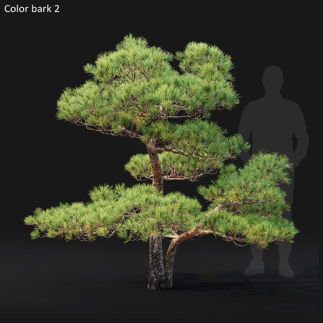 Bonsai — Скачать