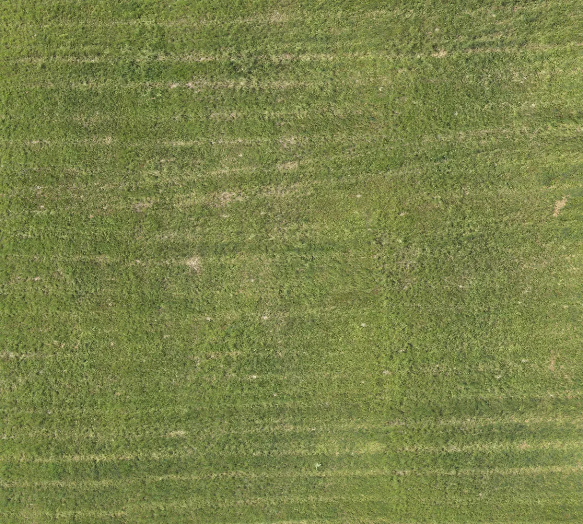 field summer 021 — Download