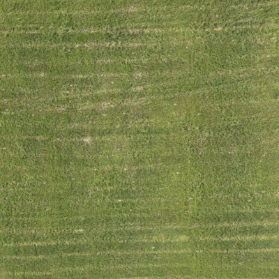 field summer 021 — Download
