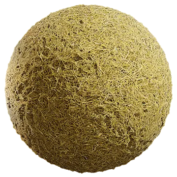 grass dried 075 — Descargar