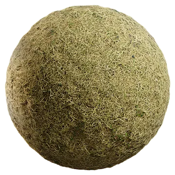 grass dried 063 — Скачать
