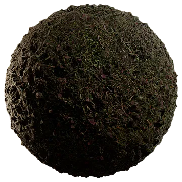 moist lakebed growth 007 — Скачать