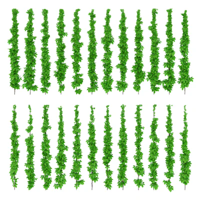 Leaves of grapes on the vine — Ver 1
