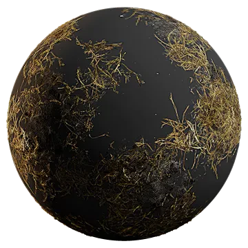 burnt grass 002 — Descargar