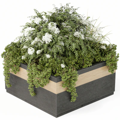 Outdoor Plant Set 02 — Вид 1