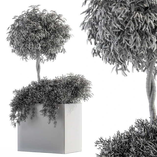 Outdoor Plant Set 172 - Plant Box tree — Скачать