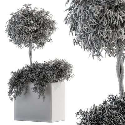 Outdoor Plant Set 172 - Plant Box tree — Вид 5
