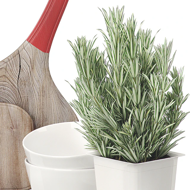 KITCHEN DECOR SET 1 — Скачать
