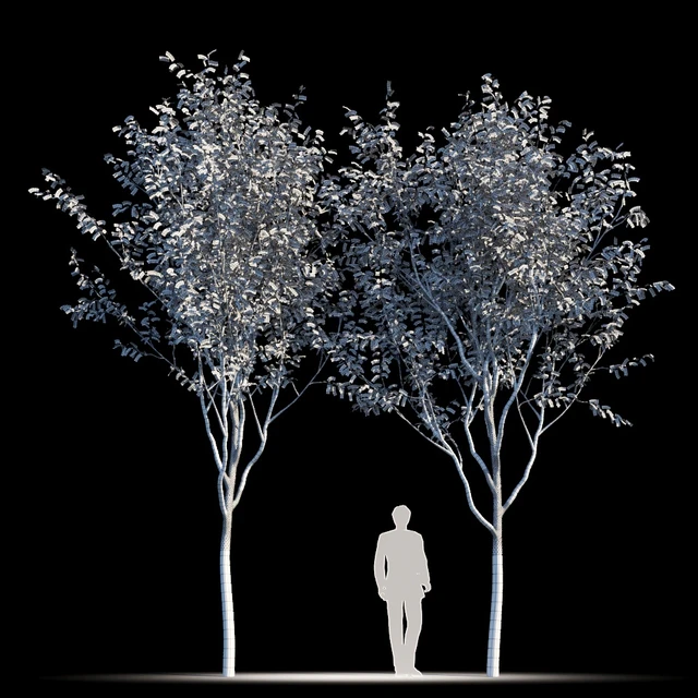 Street tree v2 — Descargar