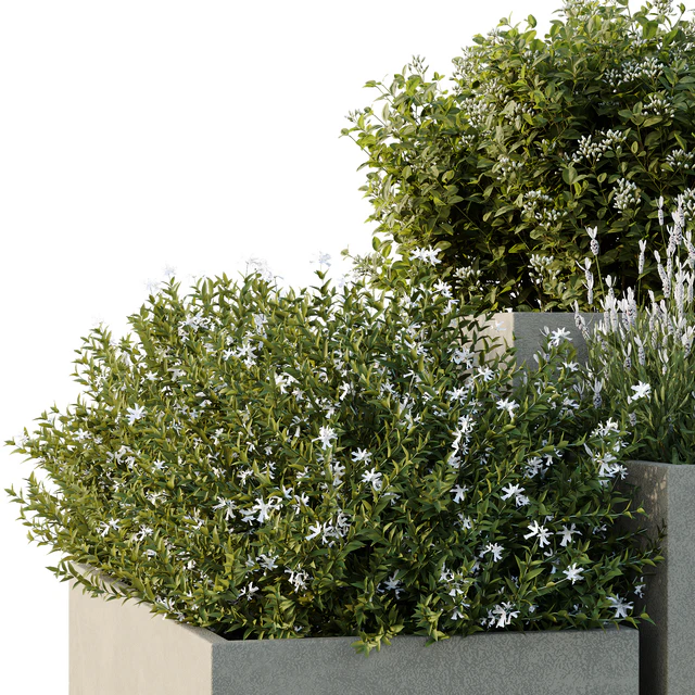 HQ Tree and bush garden box outdoor VOL 51 — Descargar