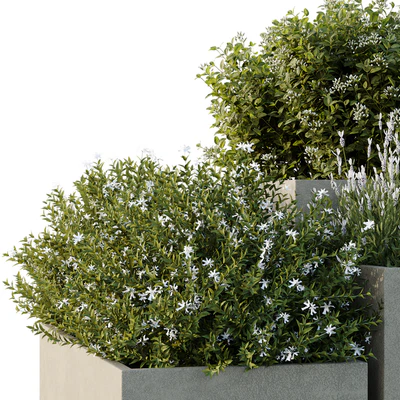 HQ Tree and bush garden box outdoor VOL 51 — Ver 6