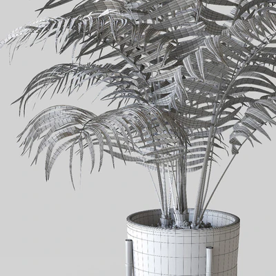 Palm in pot — Ver 3