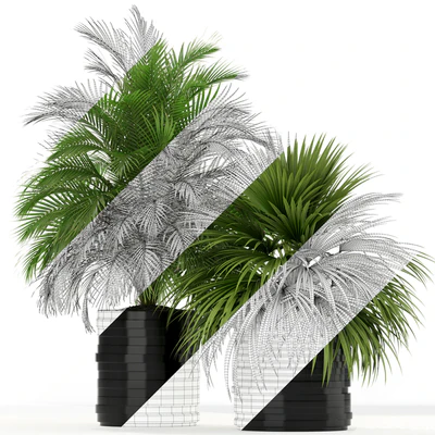 Plants collection 183 — Вид 3
