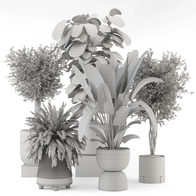 Indoor Plants in Ferm Living Bau Pot Large - Set 1277 — Descargar