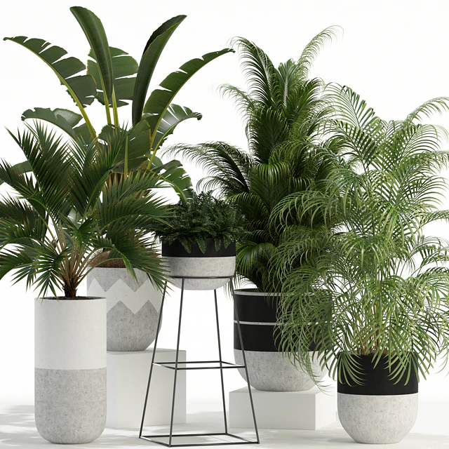 Plants collection 110 — Descargar