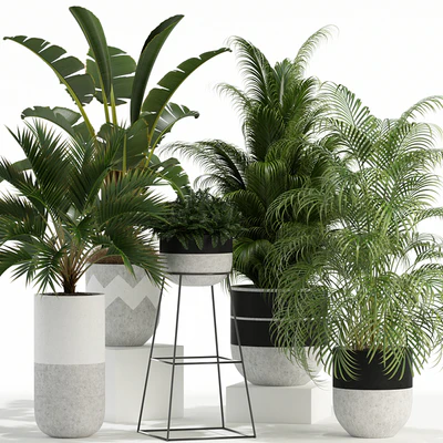 Plants collection 110 — Ver 1