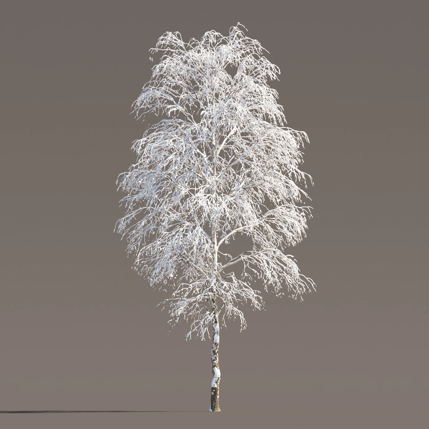048 winter — Descargar