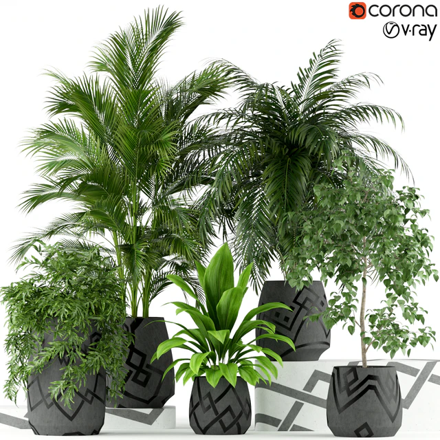 Plants collection 195 — Descargar