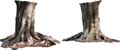 tree stump 003 — Descargar