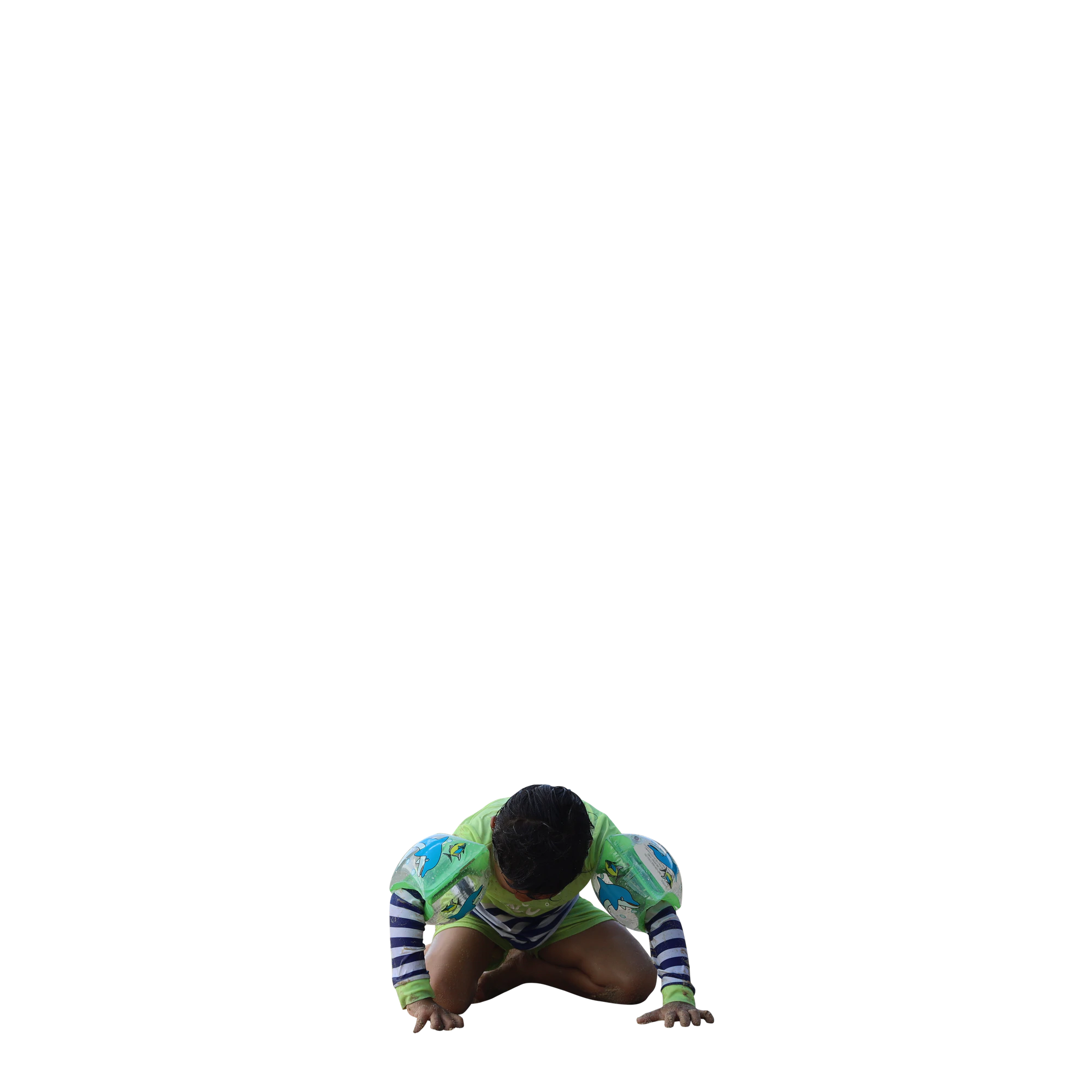 019 — Descargar