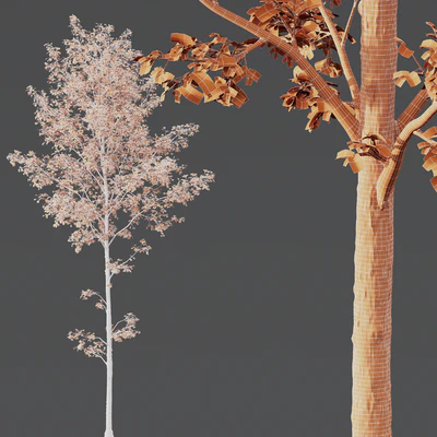 HQ Plants Alnus Glutinosa03 — Ver 4