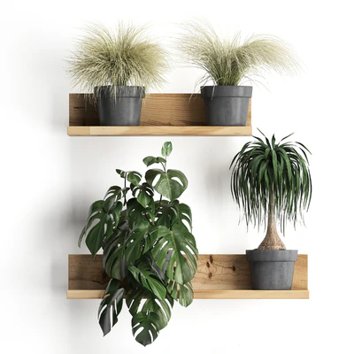 Vertical gardening. 48 Shelf with flowers, monstera, dracaena, Chlorophytum, indoor plants, eco design — Ver 3