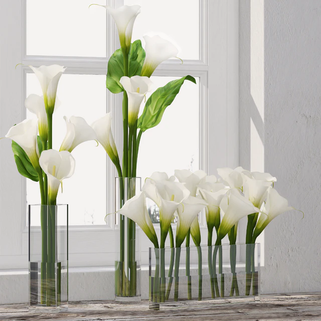 Calla Lily 5 — Descargar