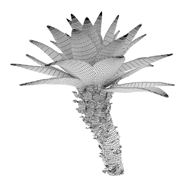 Agave 03 — Descargar