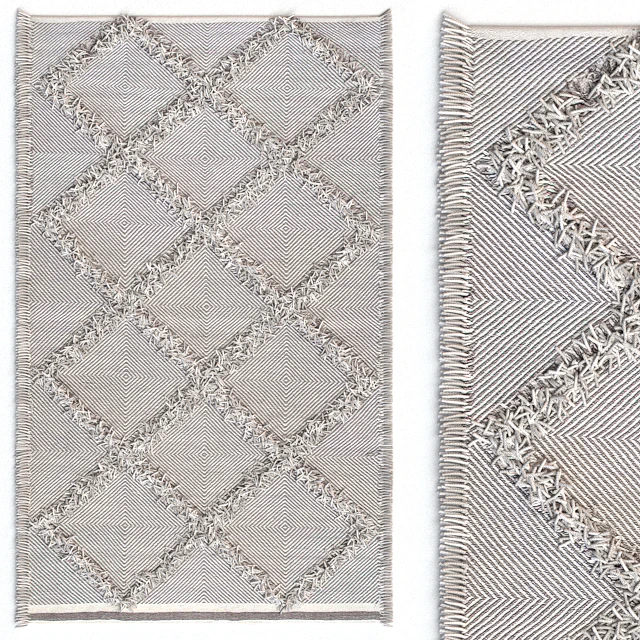 Carpet nuLOOM Devon Diamond Trellis Tassel Shag Rug — Descargar
