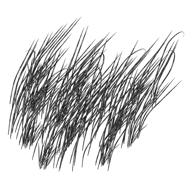 Трава в воде. Водоросли. Цицания водная. Водяная трава. — Скачать