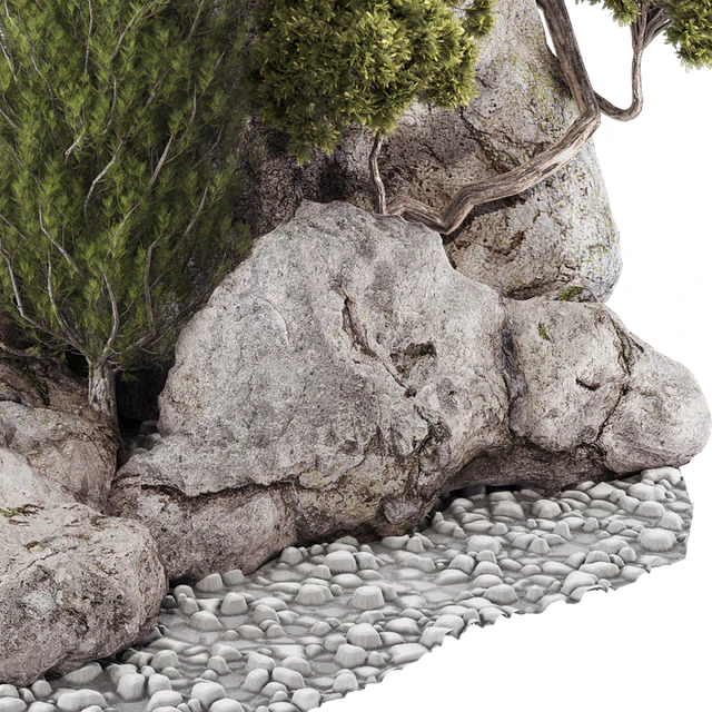 backyard and landscape pine tree garden and rocks 269 — Download
