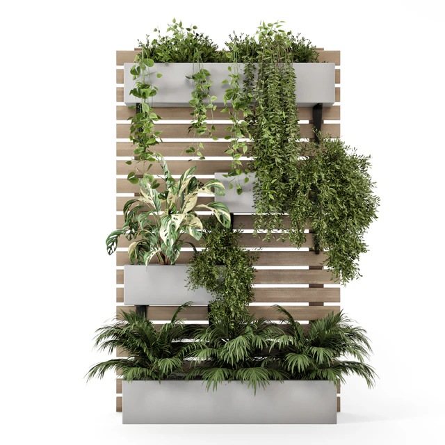 Indoor Hanging Plants in Metal Stand - Set 1131 — Скачать