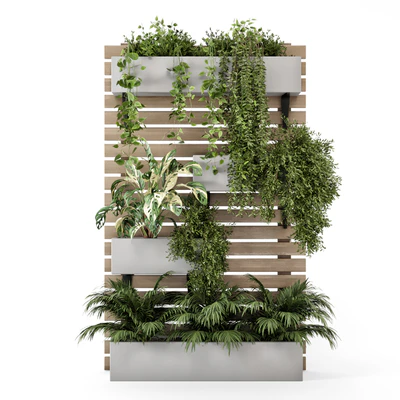 Indoor Hanging Plants in Metal Stand - Set 1131 — Вид 7