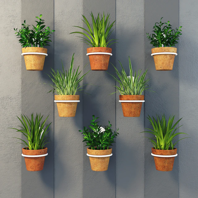 Clay pots with herbs on the wall — Descargar