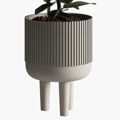 Indoor Plants Set 08 — Ver 5