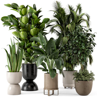 Indoor Plants in Ferm Living Bau Pot Large - Set 290 — Вид 1