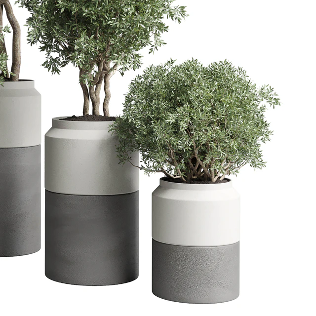Collection Indoor plant 189 concrete dirt vase pot Tree — Descargar
