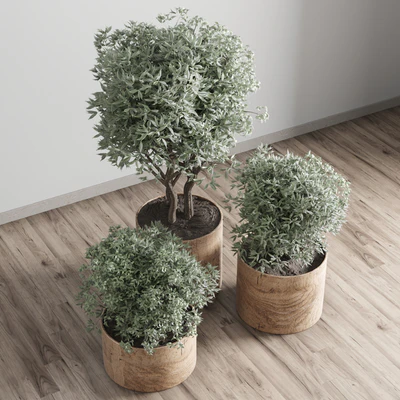 collection Indoor plant 42-wood vase — Вид 5