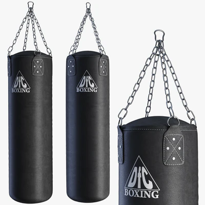 Boxing bag DFC HBL4 — Ver 1