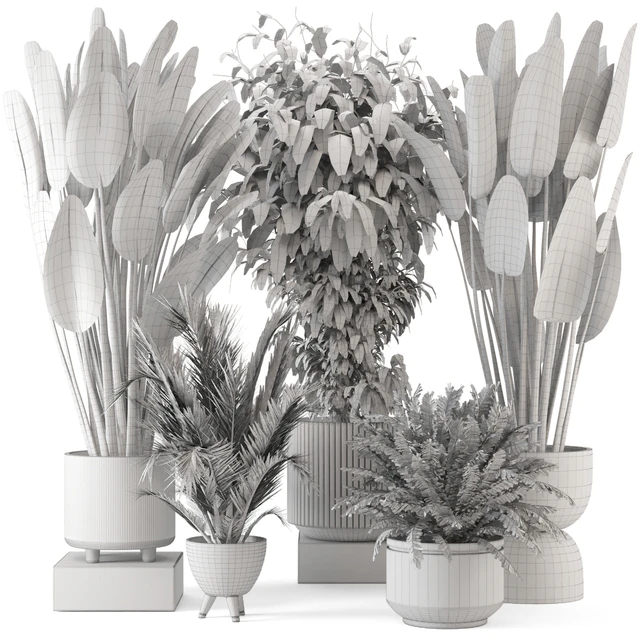 Indoor Plants in rusty Concrete Pot - Set 542 — Descargar