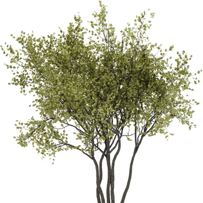 indoor plant set 31 — Ver 4