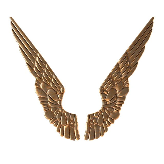 DECOR GILT ANGEL WINGS — Descargar