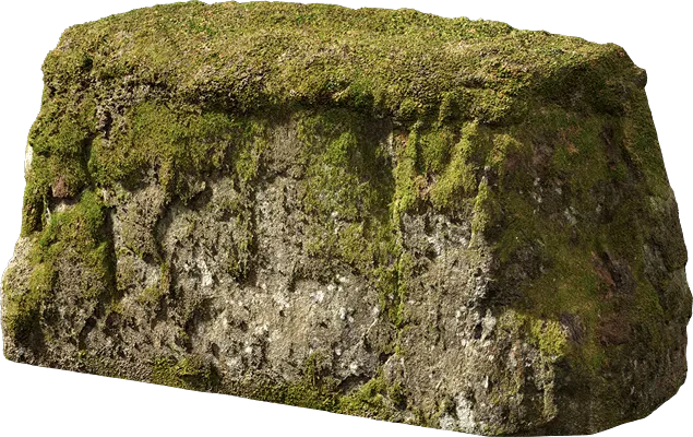 nordic forest ledge rock large 003 — Скачать