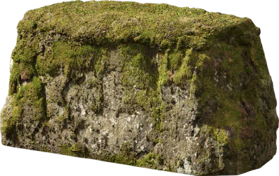 nordic forest ledge rock large 003 — Скачать
