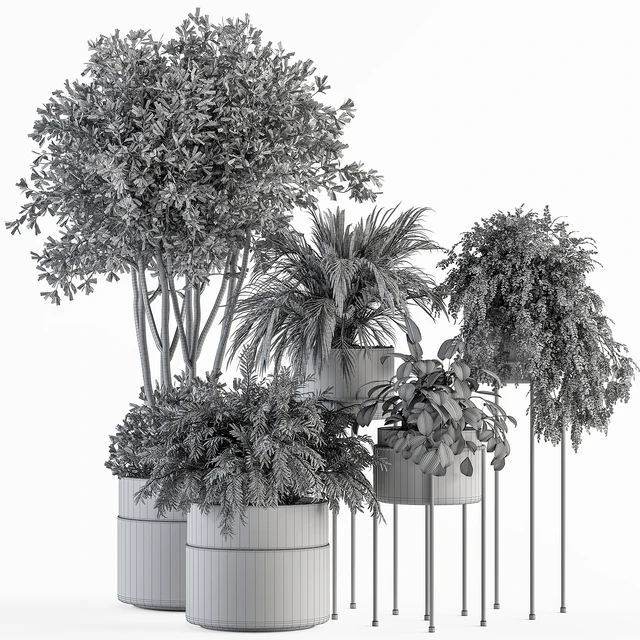 indoor Plant Set 398- Tree and Plant Set in pot — Descargar