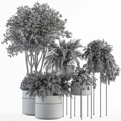 indoor Plant Set 398- Tree and Plant Set in pot — Ver 5